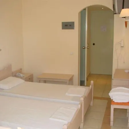 Otel Theonia 2*